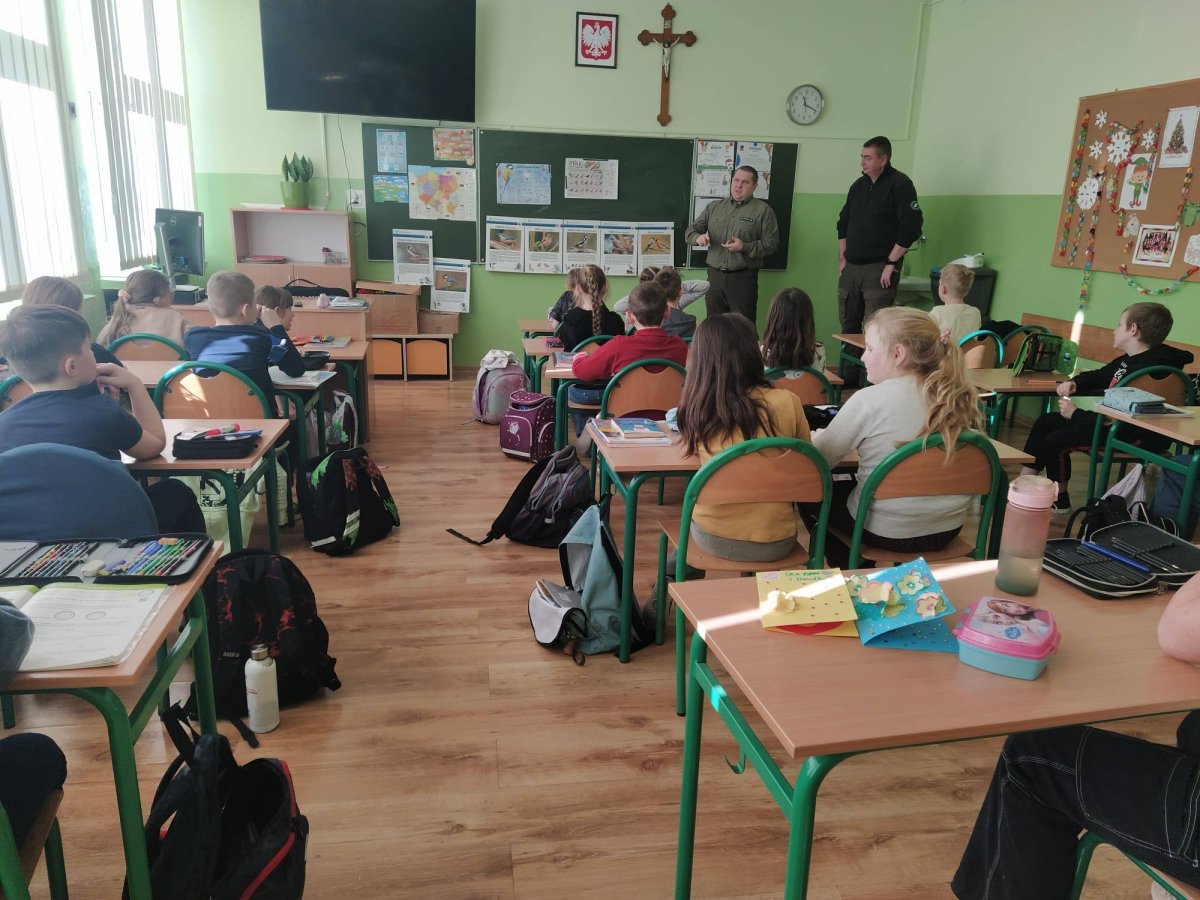  "Jak pomagać ptakom i zwierzętom leśnym w czasie ostrej zimy?" 